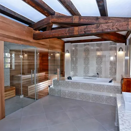 Villa Carolus *